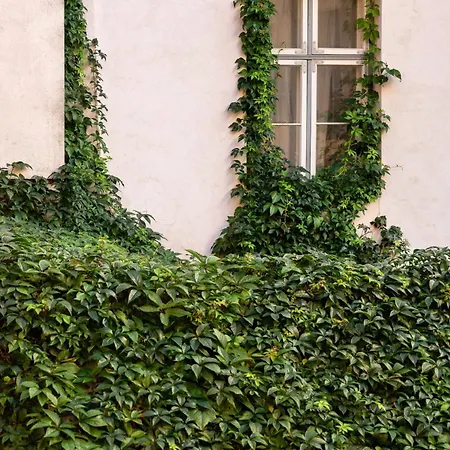 Apartmán Spacious Luxury Old Town Flat Tallinn